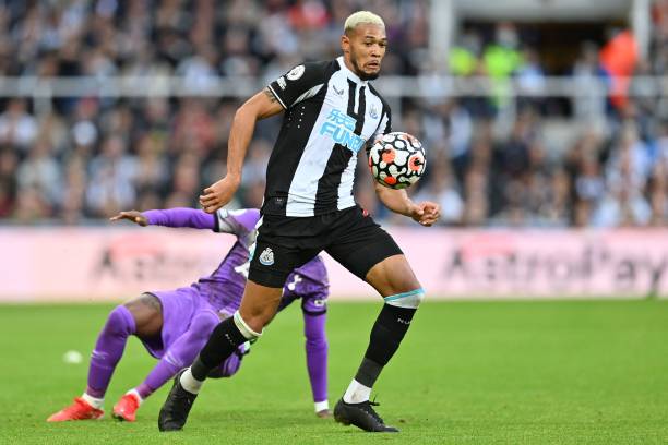 拜仁看中迪 拜仁看中迪