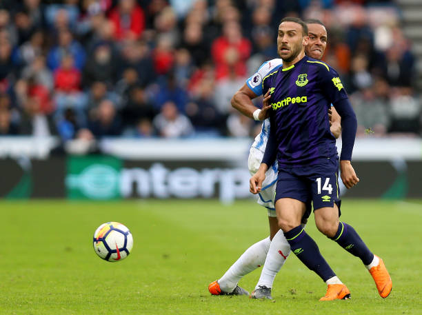 不仅提升了 不仅提升了