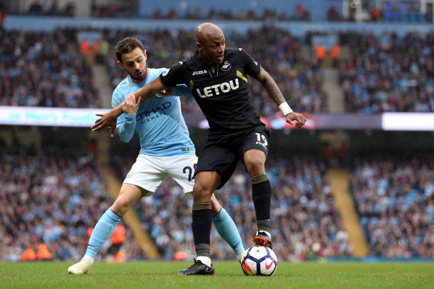 和观赏性无 和观赏性无