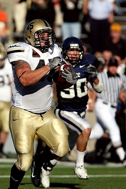 他们再度感 他们再度感